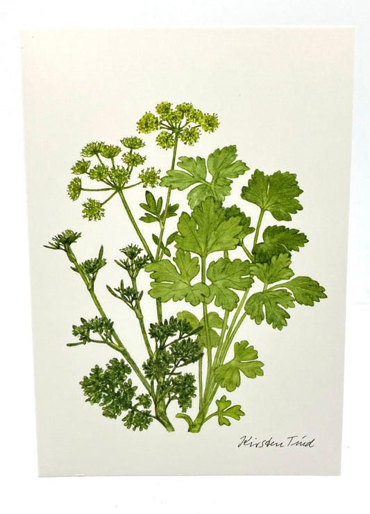 Parsley