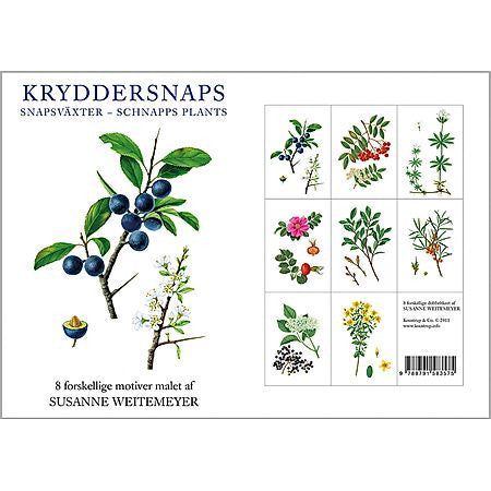 Kryddersnaps Danish Art Notecards