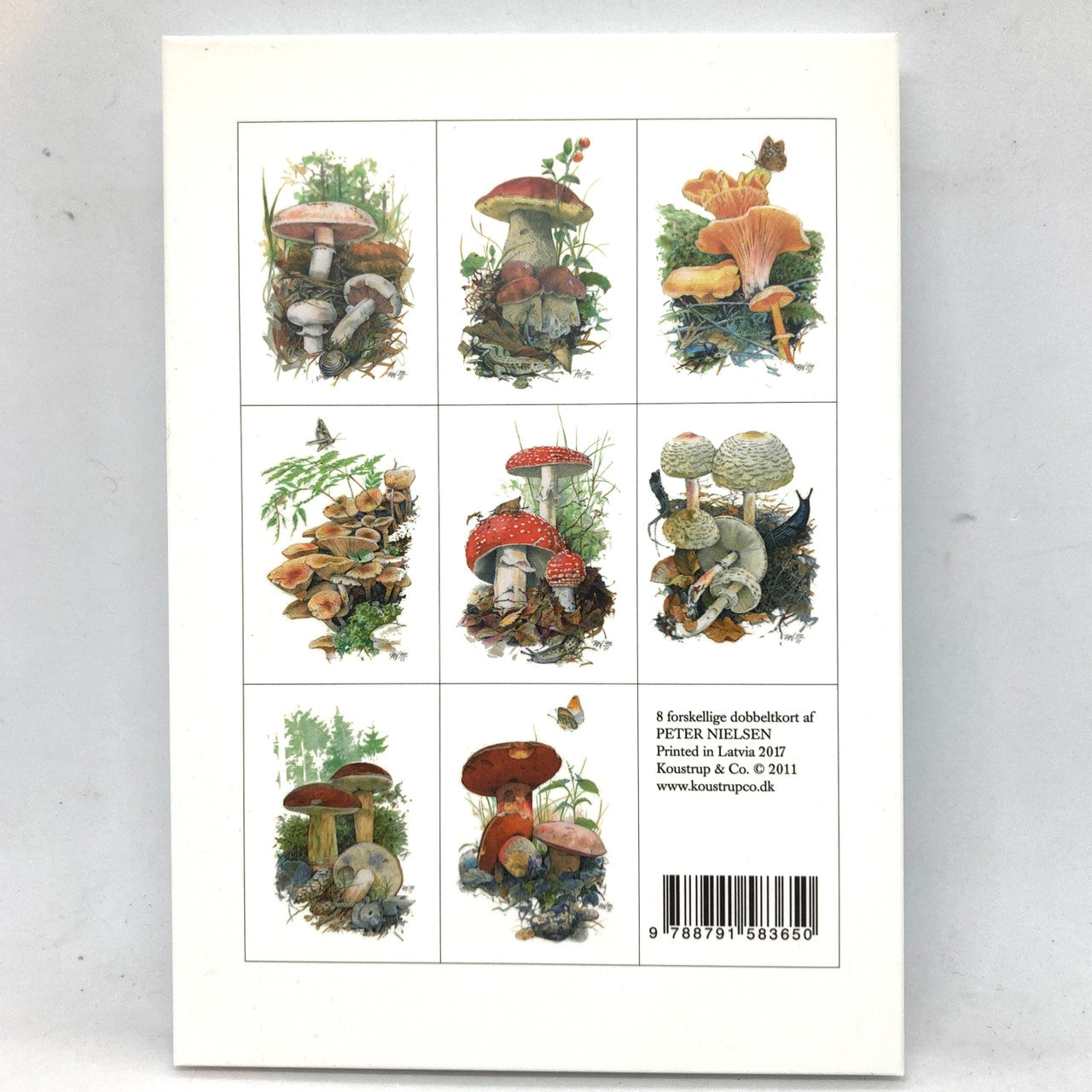 Svampe Danish Art Notecards