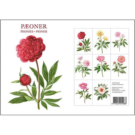 Peonies Danish Art Notecards