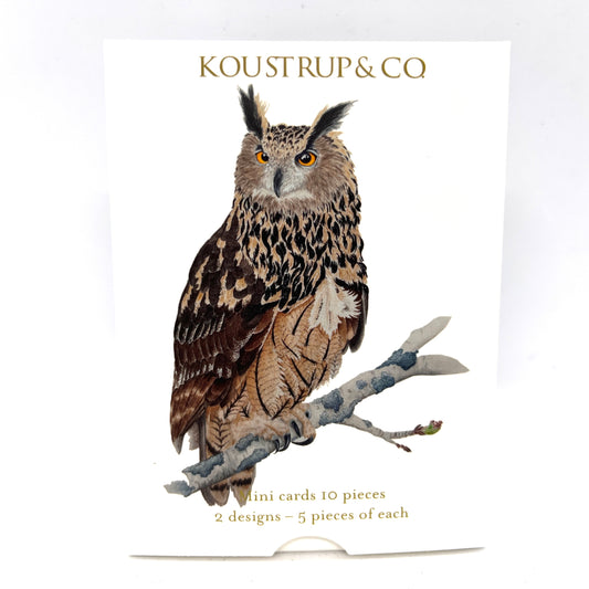 Barn Owl Little Danish Art Notecards