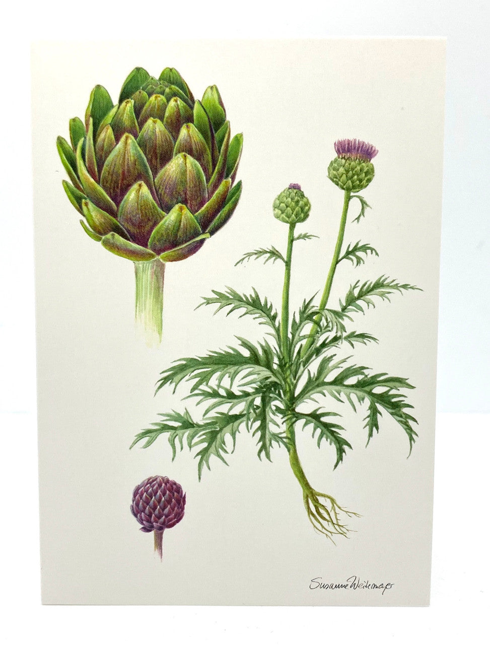 Artichoke