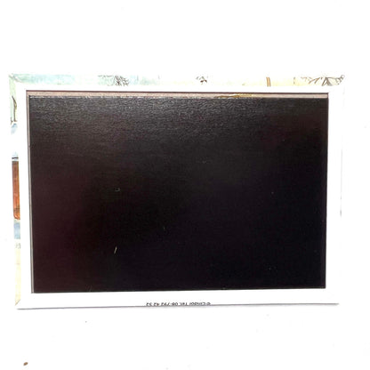 magnet back