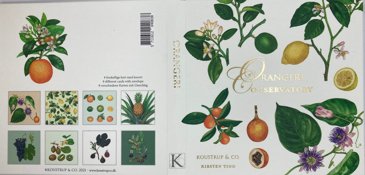 Orangeri Conservatory Notecards