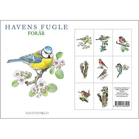 Havens Fugle Danish Art Notecards