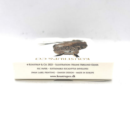 Barn Owl Little Danish Art Notecards