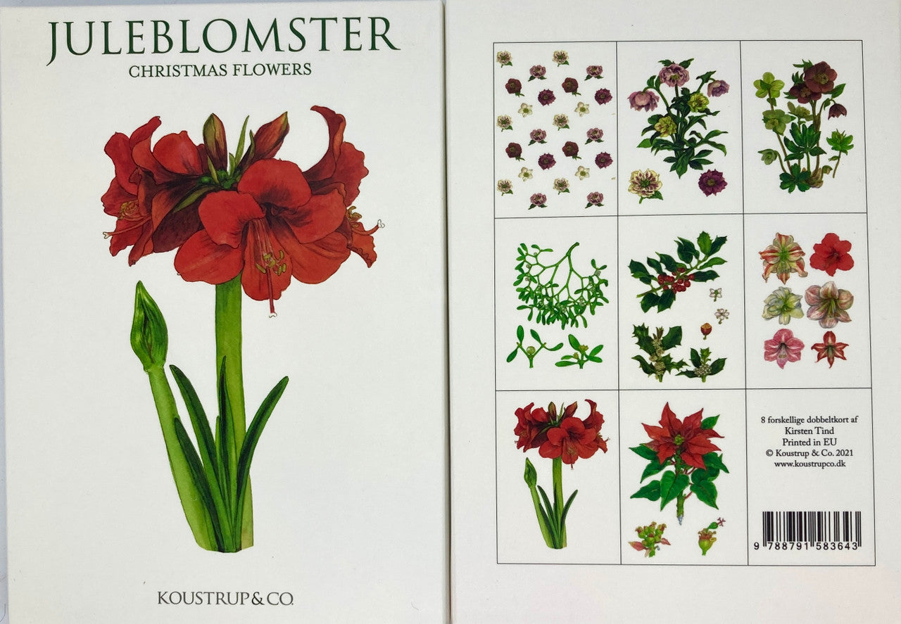 Juleblomster Danish Folk Art Notecards