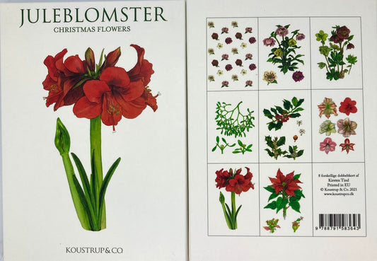 Juleblomster Danish Folk Art Notecards