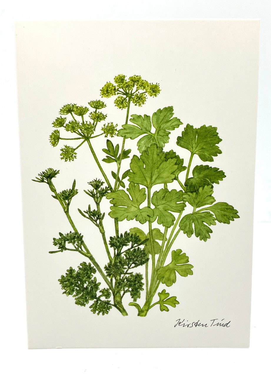 Parsley