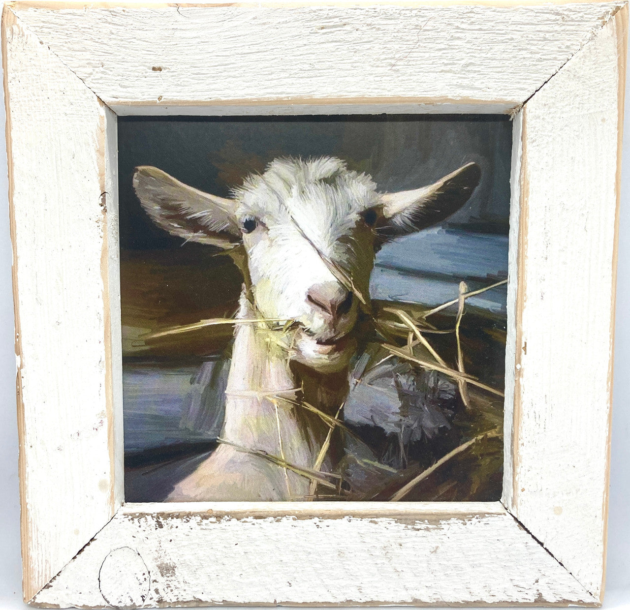 Munching Goat Picture