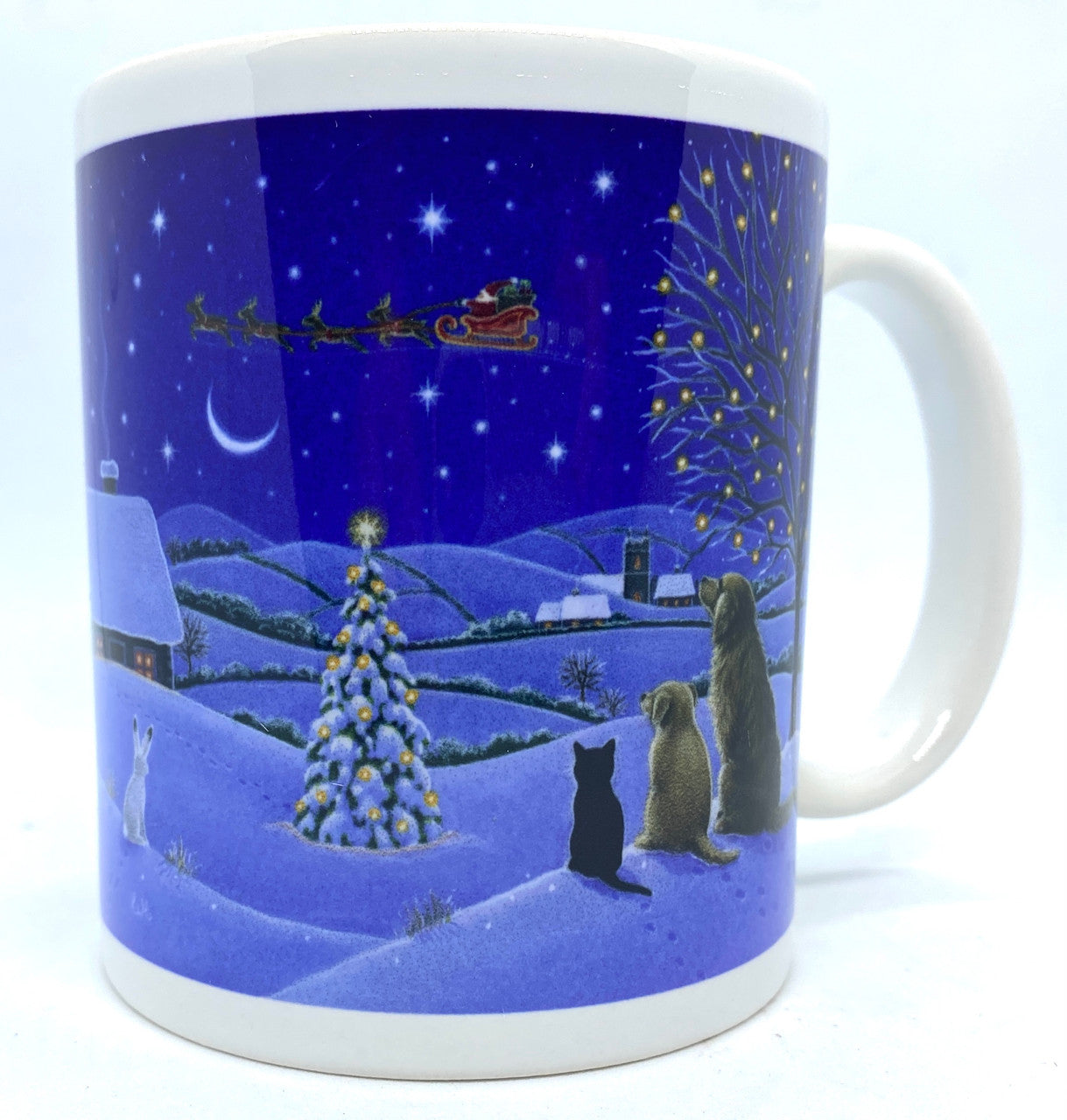 Pets Watching Santas Sleigh Mug