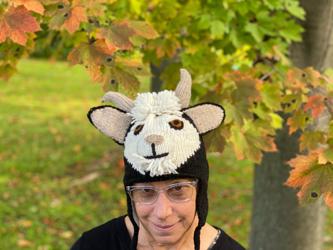 Al Johnson's Goat Stocking Cap (black)