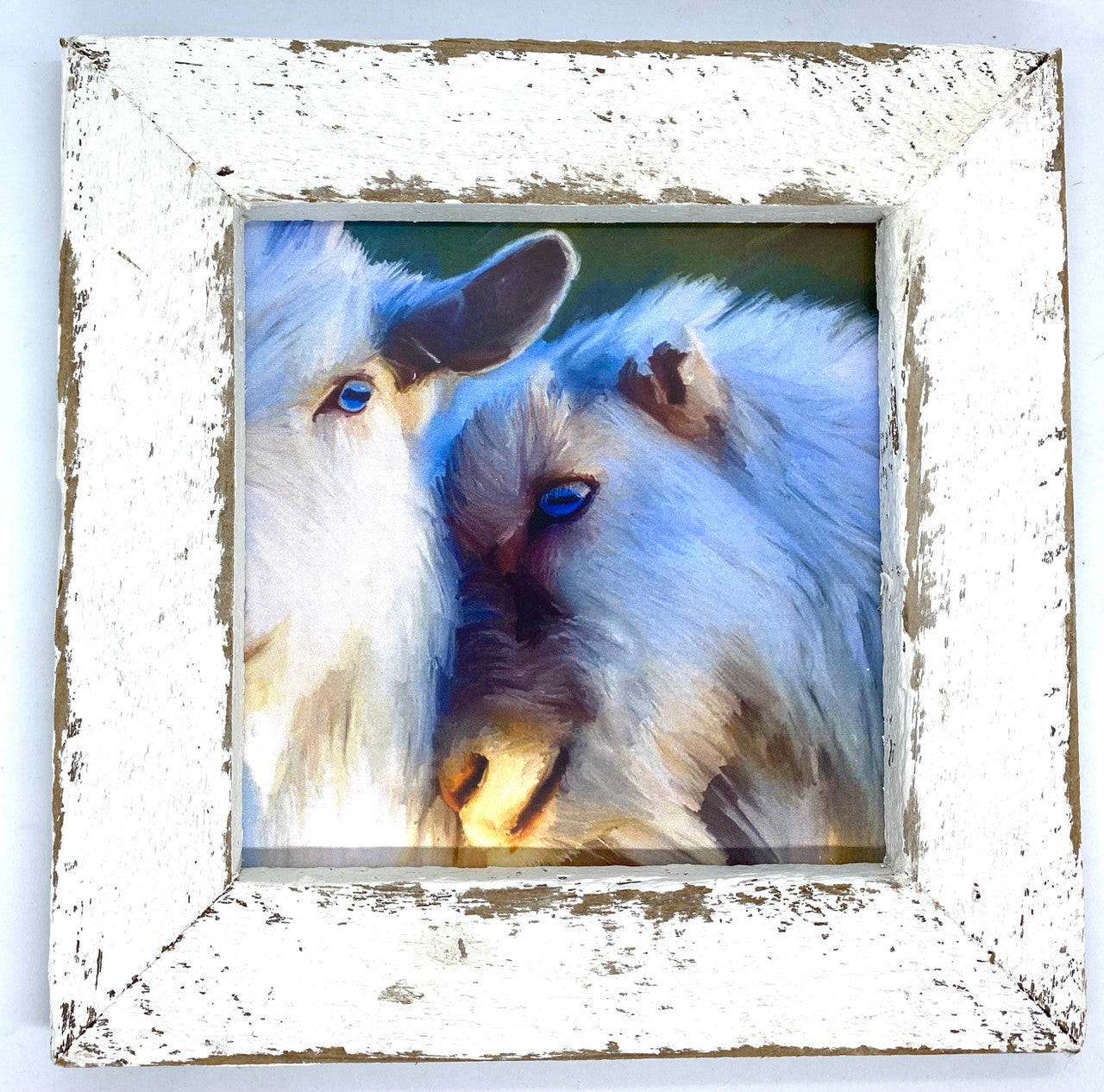 Goat Snuggles Picture
