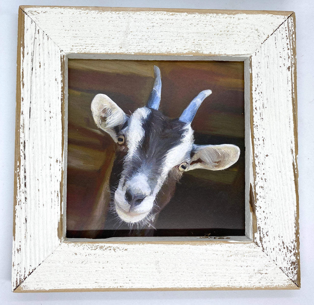 Happy Goat Picture