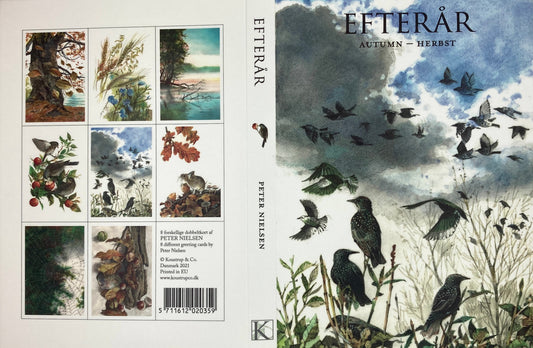 Efterår Autumn Notecards