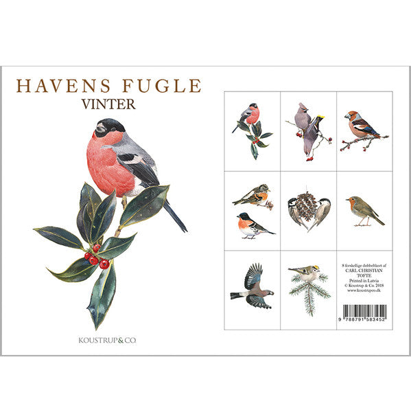 Havens Fugle Vinter Danish Art Notecards