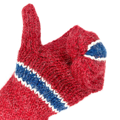 Norwegian Flag Mittens