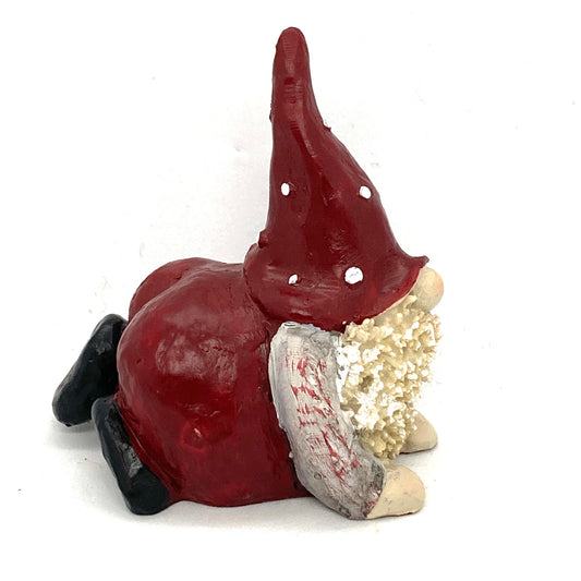 Tomten Max Laying on Stomach