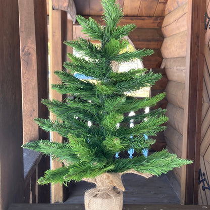 Spruce Tree