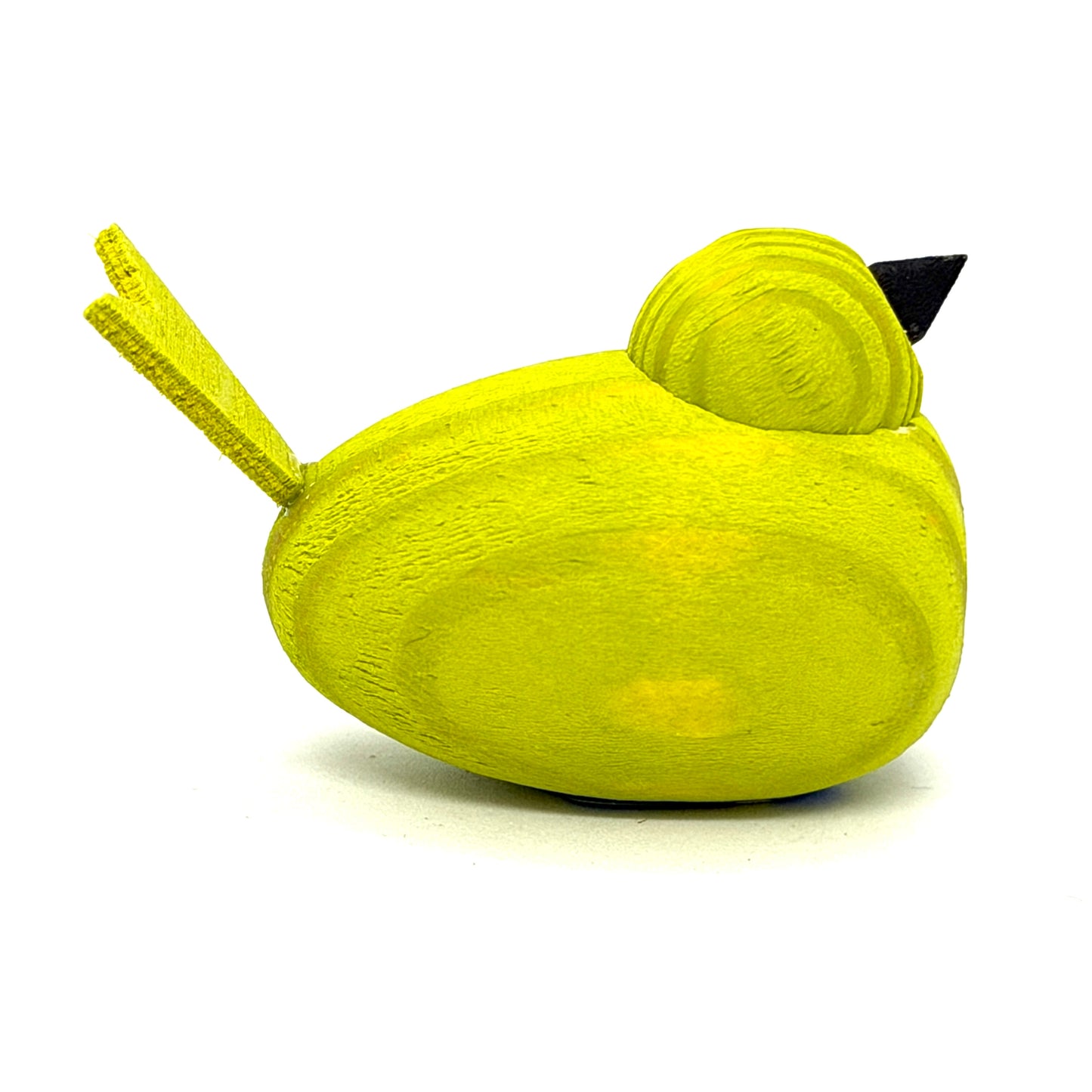 Swedish Lime Geen Baby Bird