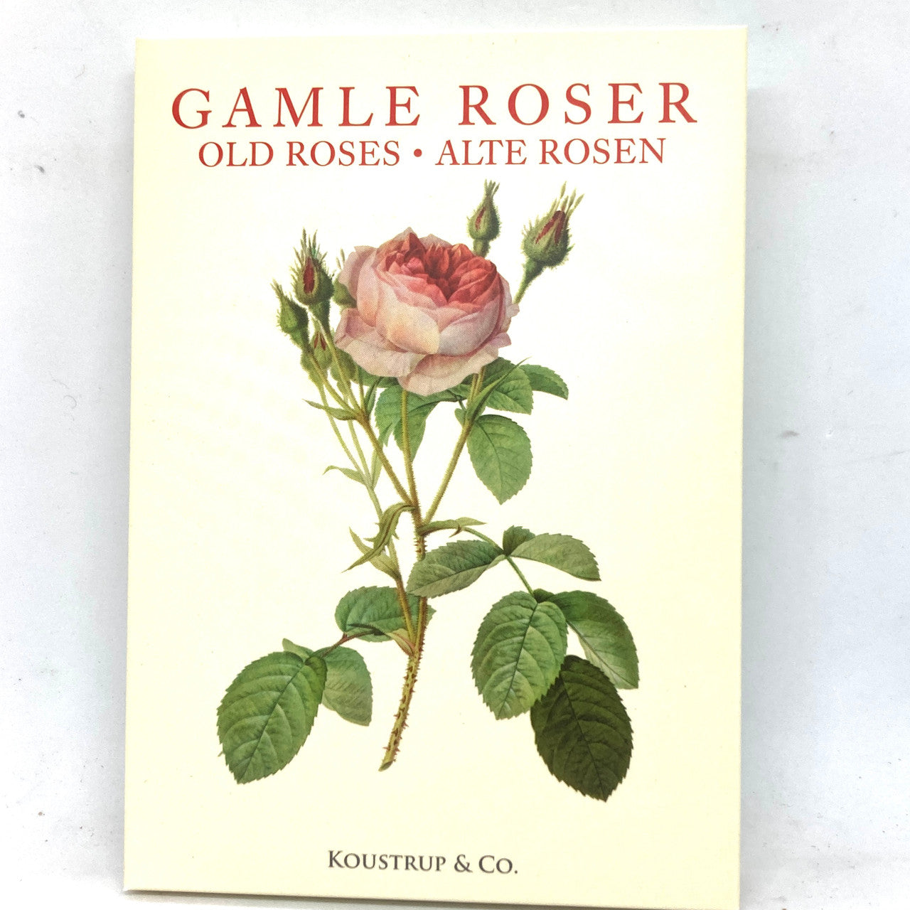 Beautiful paintings of roses adorn these notecards.