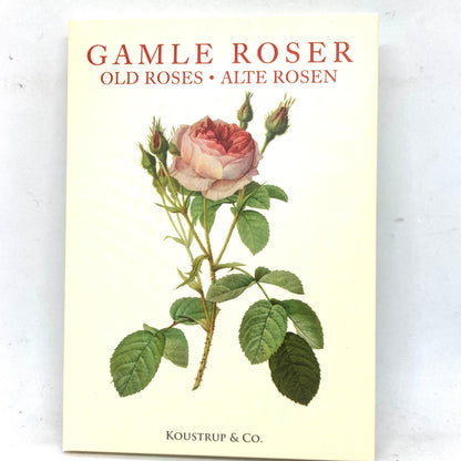 Beautiful paintings of roses adorn these notecards.