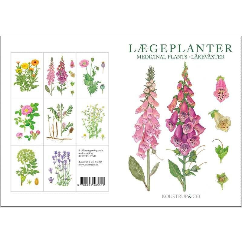Laegeplanter Danish Art Notecards