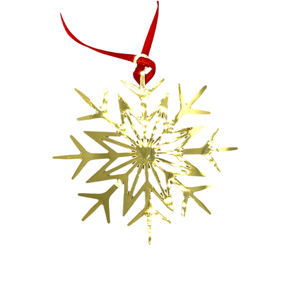 Winterstar Hanging Decoration