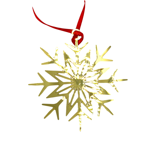 Winterstar Hanging Decoration